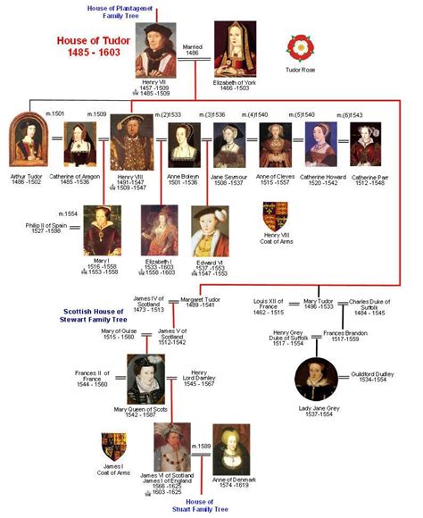 what is the house of tudor|house of tudor timeline.